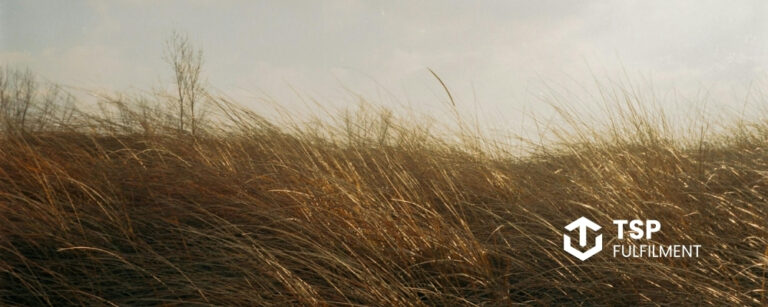grass blowing in the wind