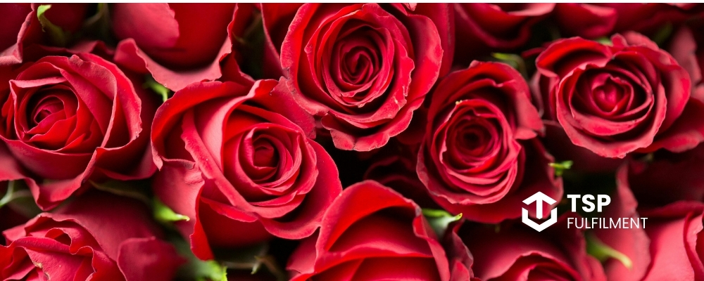 A close up image of several red roses.
